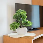Dk Apartman
